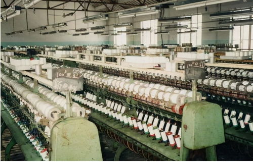 江蘇新首富易主 低調(diào)的陳建華，超越劉強(qiáng)東的商業(yè)傳奇